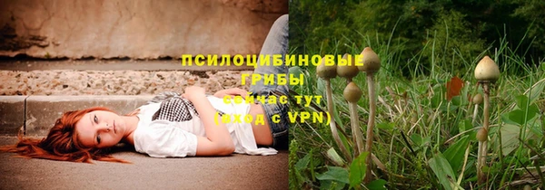 молекула духа Абинск