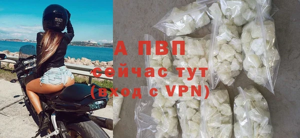 a pvp Абаза
