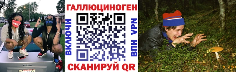 где купить наркотик  Разумное  Псилоцибиновые грибы Cubensis 